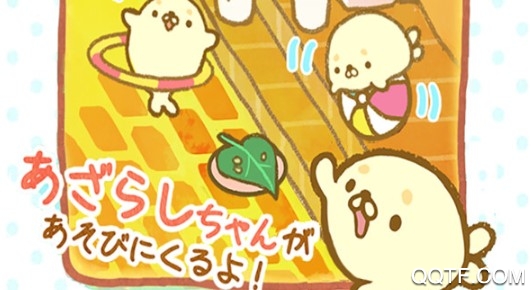 海豹生活