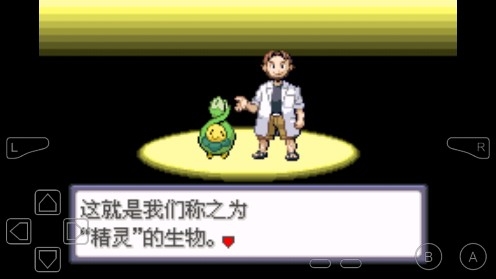 口袋妖怪命运红宝石3生命守护者金手指版