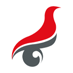 学信网实人认证