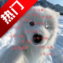小号连点