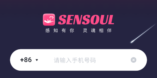 Sensoul