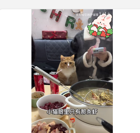 海盗器