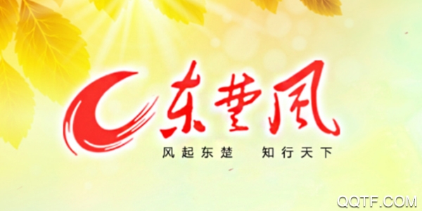 东楚风S
