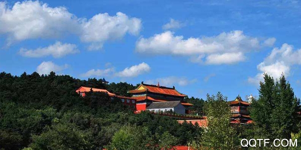 双阳融媒