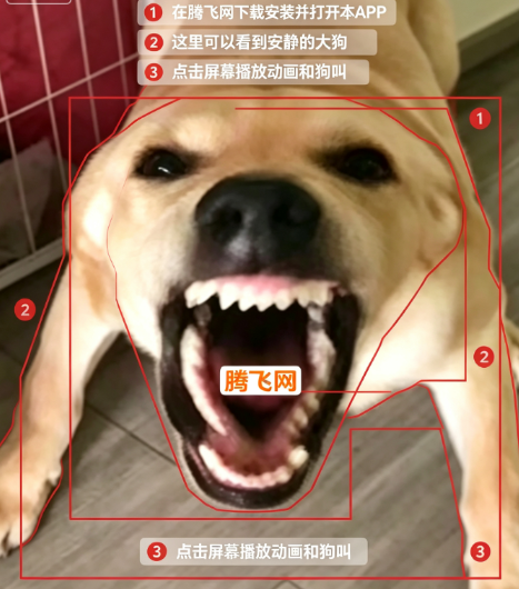 大狗大狗叫叫叫玩梗版