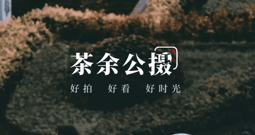 茶余公摄