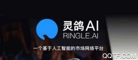 灵鸽